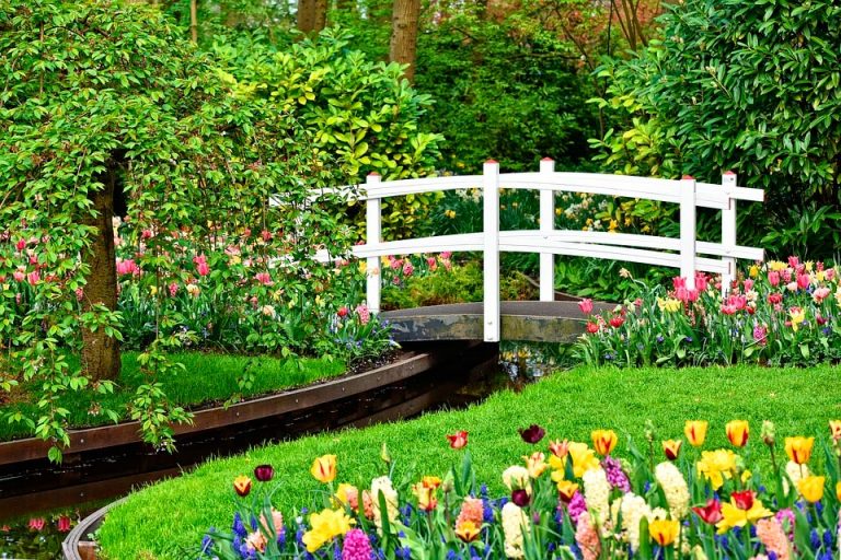 aaaa